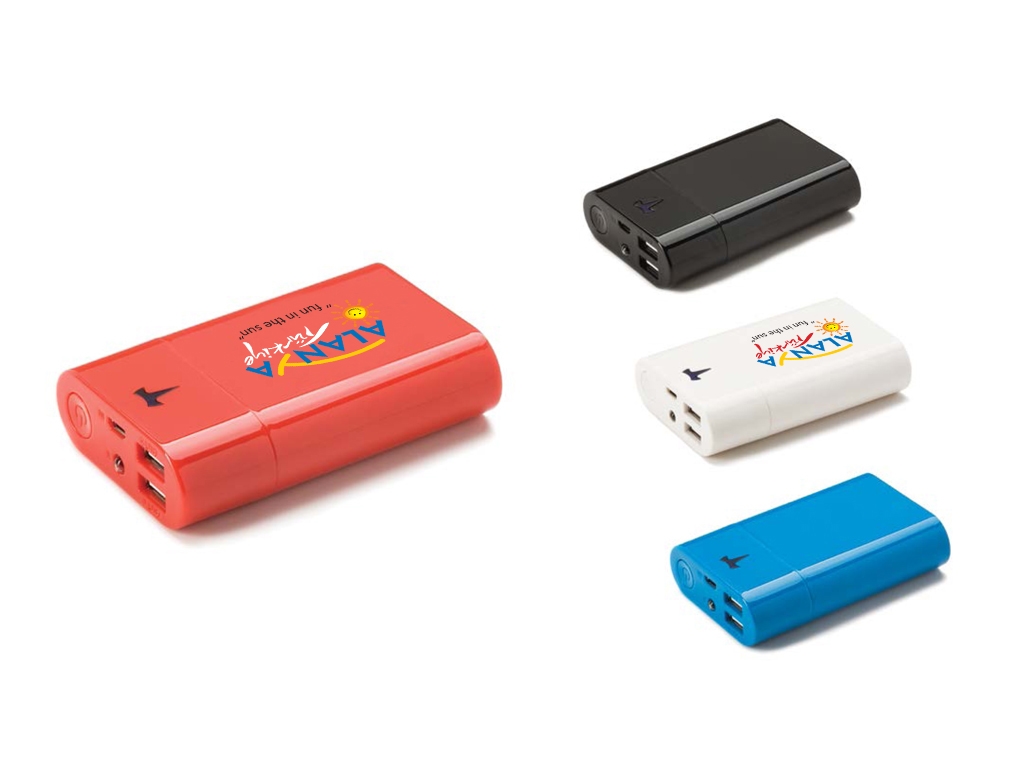 Power Bank